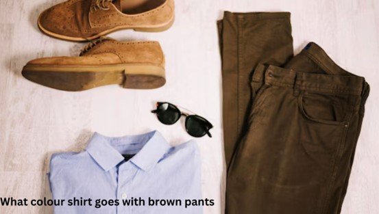 What Color Shirt Goes Best with Brown Pants?