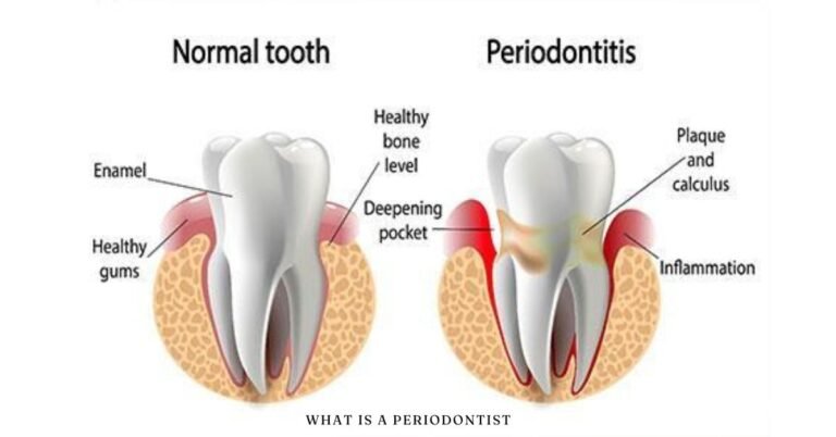 what is a periodontist